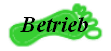 Betrieb