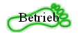 Betrieb